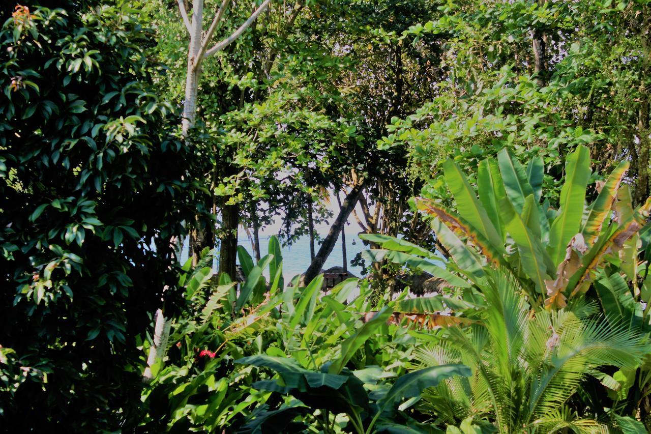 Hotel Casa Natural Puerto Viejo à Puerto Viejo de Talamanca Extérieur photo